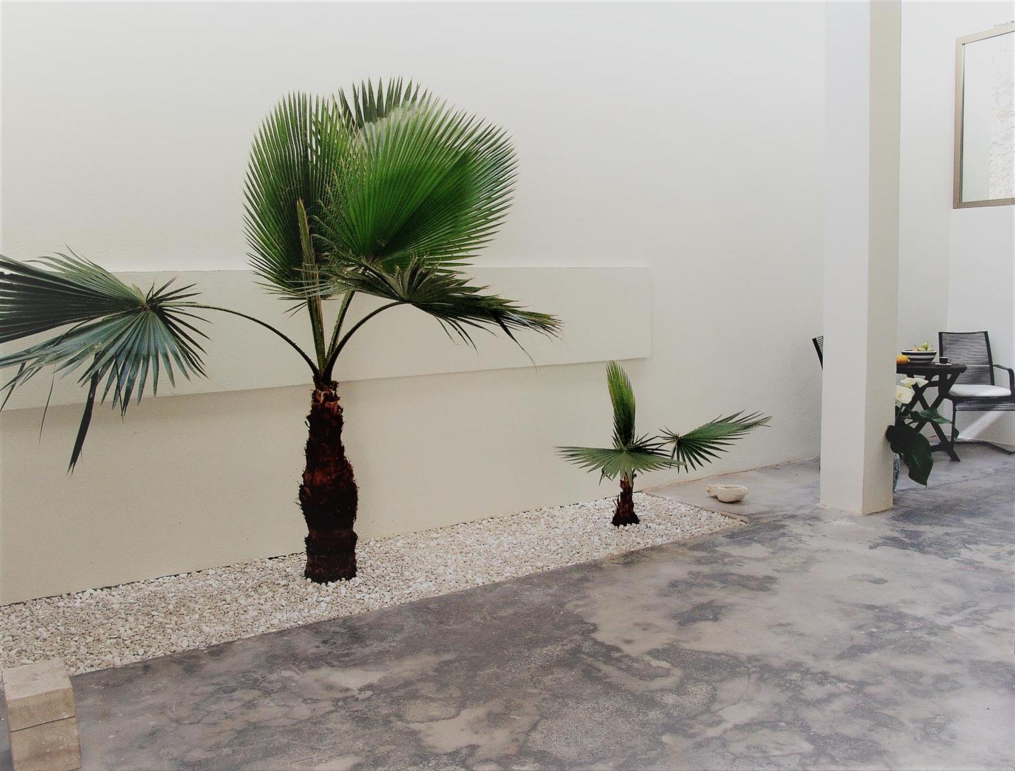 Square 45 Villa Chania  Ngoại thất bức ảnh